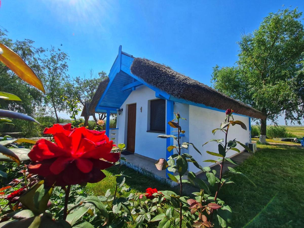 فندق Casa Pescarilor Lunca  المظهر الخارجي الصورة